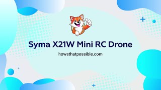 Mini RC Drone