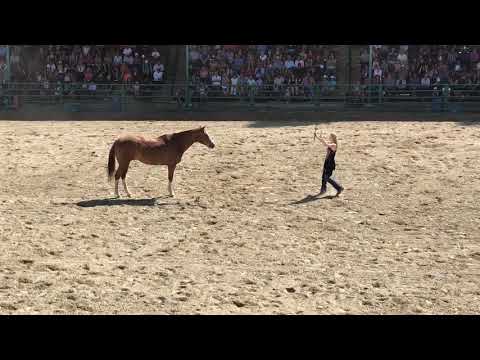 Liberty performance by Cassidy Leeder