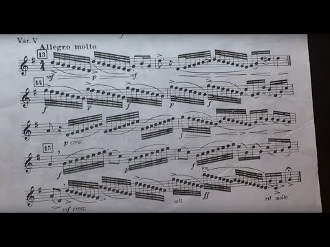 Aria con Variazioni - G. F. Handel🎺(Trumpet Solo)