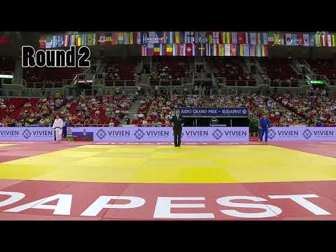 Aaron Wolf (JPN) Best Ippons Grand Prix Budapest 2019. Champion in 100 kg