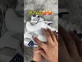 THE BEST WEBSITE TO BUY REPLICA SHOES FROM IN 2023