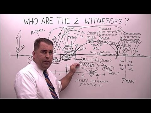 Who are the 2 Witnesses in Revelation chapter 11? #twowitnesses #moses #elijah #tribulation