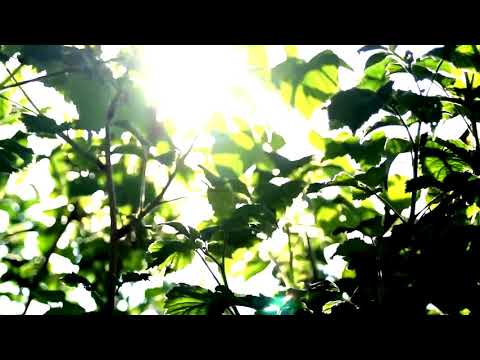 Pachelbel : Canon In C Major(2019.01.17 Ver)_ Jazz Piano Trio