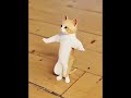 Kokkara Kokkara Ko ️ ️