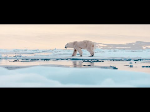 (ESKI)MOSAIC - EISSCHOLLE (prod. by AUDIOGEN)