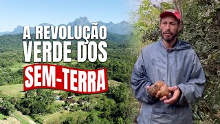 A revolução verde em comunidade do MST
