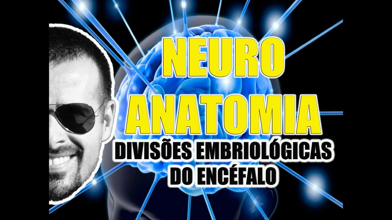 Divisões embriológicas do Encéfalo (Sistema Nervoso Central) - Neuroanatomia - VideoAula 070