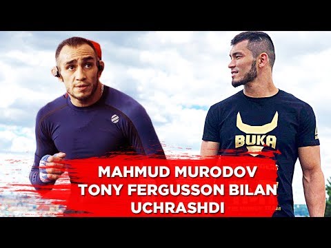 O'ZBEK MMA JANGCHISI TONY FERGUSSON BILAN UCHRASHDI / МАХМУД МУРАДОВ