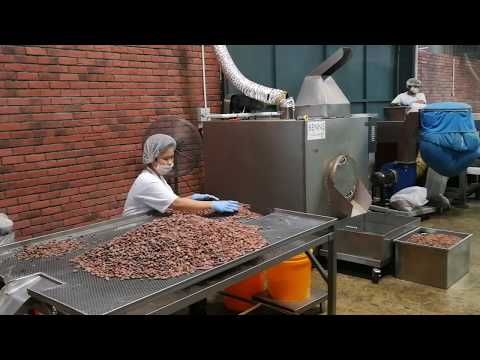 Benns Ethicoa Chocolate Factory Tour