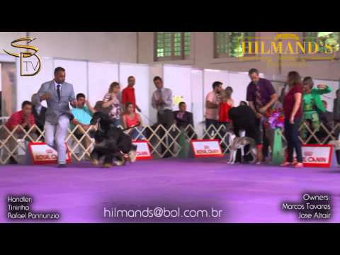 KARAKUSH THE ROAD RUNNER   #1 Grupo   CPC   Novembro 2014