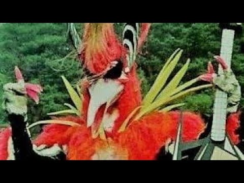 OS MELHORES  ENCERRAMENTO DOS TOKUSATSU PASSADOS NO BRASIL 😽🎶🎵