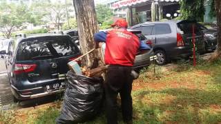 Download lagu buah semangka berdaun sirih by cleaning mp3 Download lagu buah semangka berdaun sirih by cleaning mp3