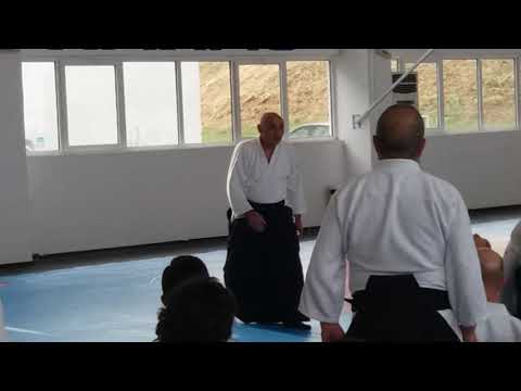 Seminar in Varna 15-17.06.2017 - Michele Quaranta - Video 13