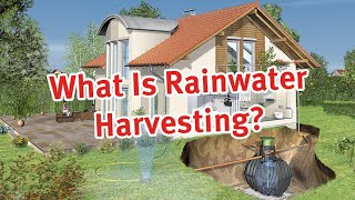 What Is Rainwater Harvesting?