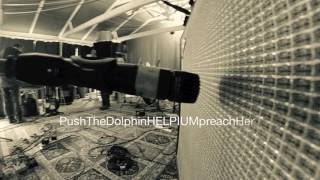 Push The Dolphin HELPIUM preach Her