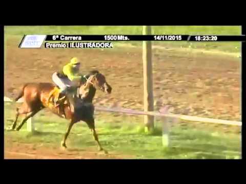 6° Carrera – 1° Frankenstein