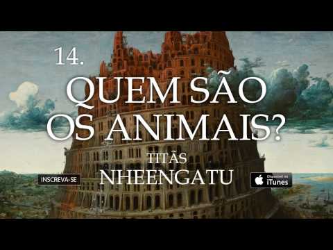 Video thumbnail for Quem São os Animais?