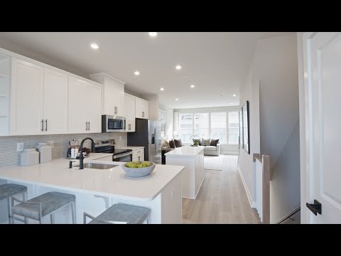 video about the Clarendon