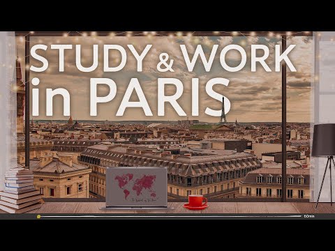 フェアリーライトに関する紛争 サービス