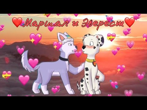 ❤️Маршал и Эверест - Любовь❤️