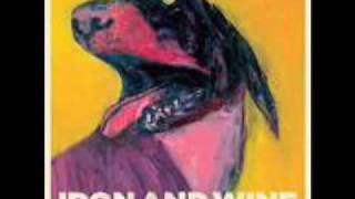 Iron and Wine - Boy With a Coin