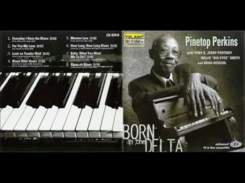 download lagu mp3 mp4 Pinetop Perkins Discography, download lagu Pinetop Perkins Discography gratis, unduh video klip Pinetop Perkins Discography