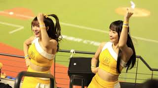 20250302 台灣交流賽 日本火腿戰 世界名曲炸裂許基宏　小迪跟曼容 　#台湾チア　#passionsisters