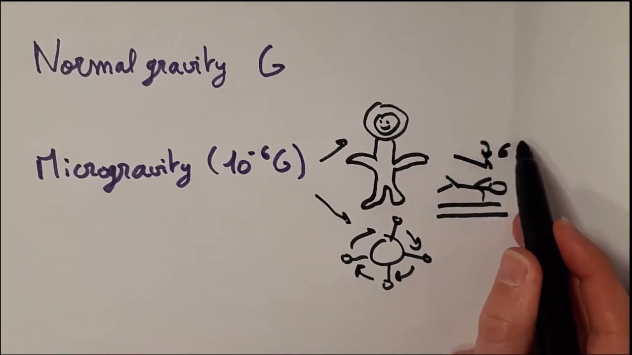 The impact of gravity changes on our body