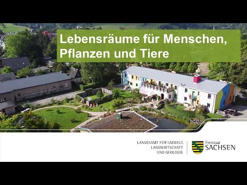 Lebensräume für Menschen, Pflanzen und Tiere – Freiflächengestaltung am Hundertweltenhaus Eibenstock