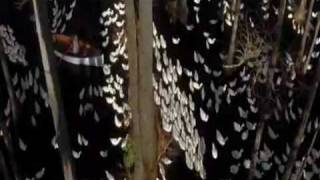 The Best Of Me David Foster ang Olivia John Newton