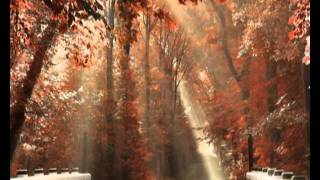 Tual   Yine Aylardan Kasım