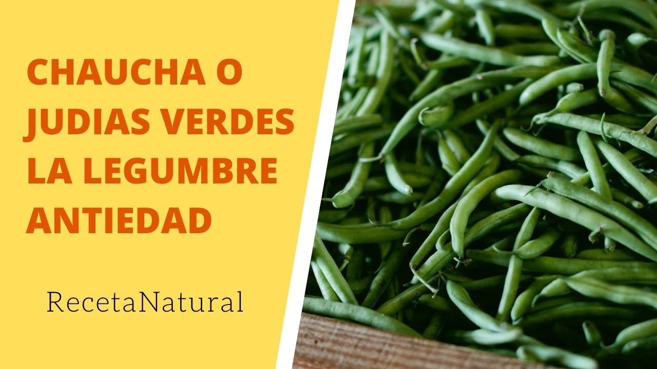 Watch CHAUCHA O JUDIAS VERDES LA LEGUMBRE ANTIEDAD Now CHAUCHA O JUDIAS VERDES LA LEGUMBRE ANTIEDAD