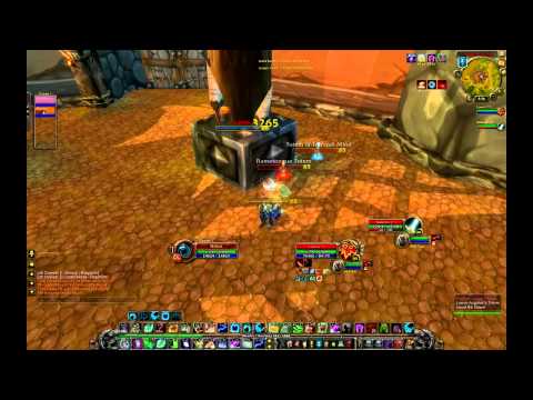 Gladiator Miirkat - More random Feral/Holy Paladin