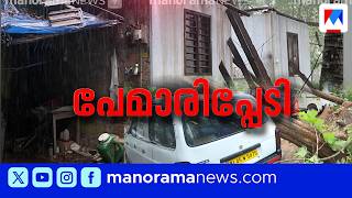 തൃശൂരില്‍ മിന്നൽ ചുഴലി; പലയിടത്തും വ്യാപകനാശം; കലിതുളളി കാലവര്‍ഷം | Kerala Rains | Rain Alert 