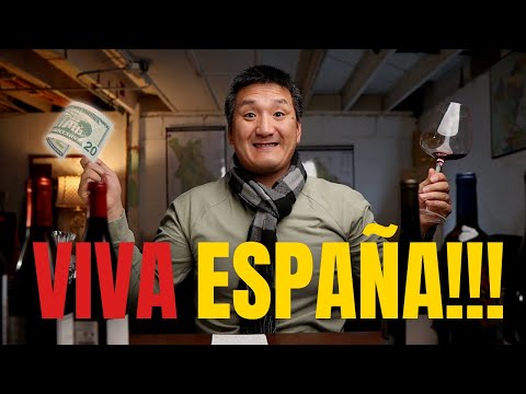 🇪🇸 NAVARRA makes World-Class RED WINE at Pedestrian PRICES!!!