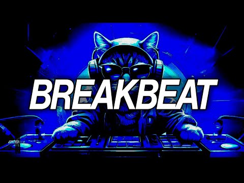 BREAKBEAT MIX 2025 - Nocturnia Breakbeat Podcast #204