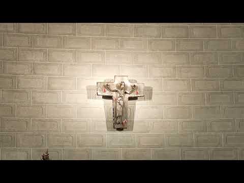 Klanjam ti se smjerno - BLAGDAN SV. ANTUNA - HKM Zurich 13. lipnja 2024