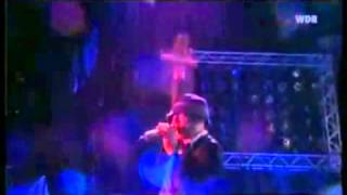 R.E.M.  Animal.  Live