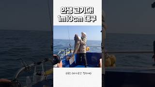 이런날이 또 올까? 1m10cm 대구 히트🫢#낚시#동해낚시#묵호근영호#대구라바#바다로간정자매