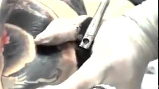 Traditional Tattoo!!!! Who wants?