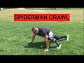 Spiderman Crawl Exercise For a Healthy Back and Strong Core!
