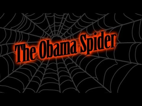 The Obama Spider
