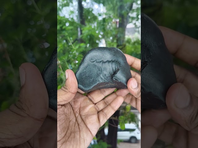 Kalki Narayana Sacred Adwaitya Kamal Dashavatara Samudramanthan Shaligram video