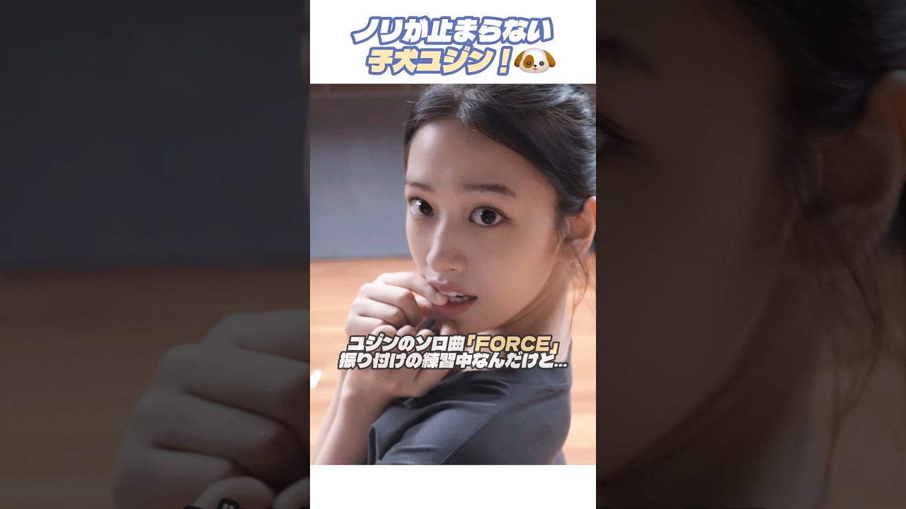 [IVE] ノリが止まらない子犬ユジン！#IVE #アイヴ #ユジン