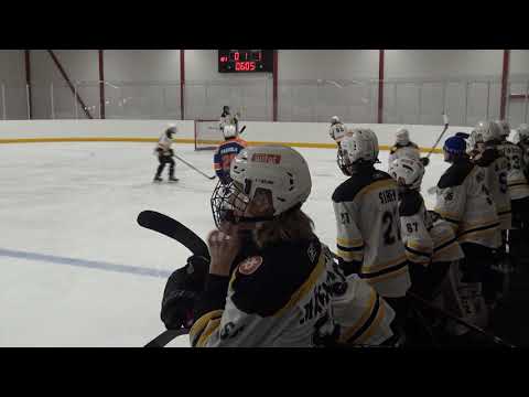 6.2.2019 C2 AA Tappara valkoinen -  Ilves Toronto 1. erä