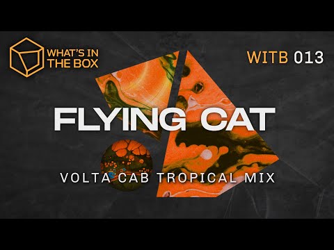 Days Of Funk - Flying Cat (Volta Cab Tropical Remix) | Best Of Electro Techno House Music