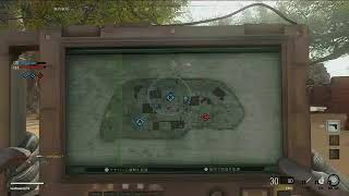 COD CW　武器育てます。