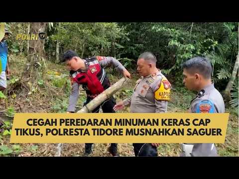 CEGAH PEREDARAN MINUMAN KERAS CAP TIKUS, POLRESTA TIDORE MUSNAHKAN SAGUER