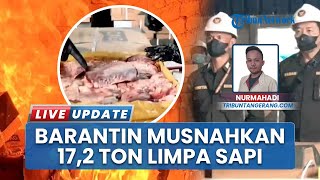 17,2 Ton Jeroan Sapi Impor Ilegal Dimusnahkan Barantin di Tangerang, Cegah Penularan Penyakit Hewan