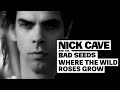 Videoklip Nick Cave and Kylie Minogue - Where The Wild Roses Grow s textom piesne
